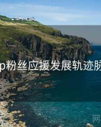 杏吧app粉丝应援发展轨迹脉络揭秘