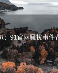 独家深扒：91官网骚扰事件背后原因