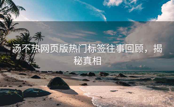 汤不热网页版热门标签往事回顾，揭秘真相