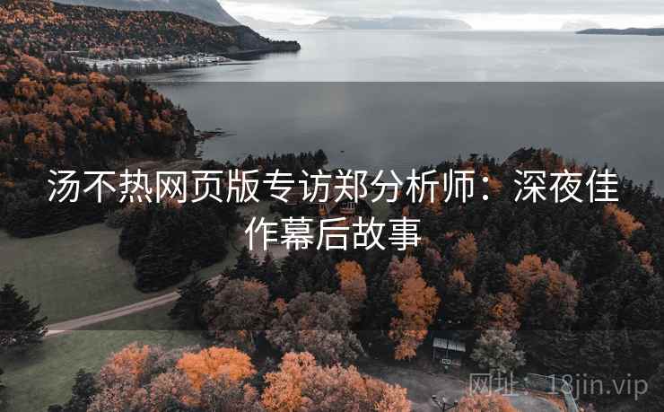 汤不热网页版专访郑分析师：深夜佳作幕后故事
