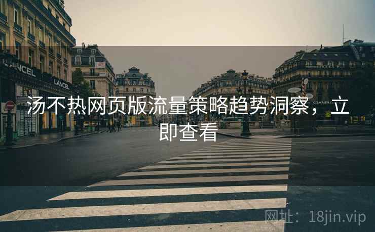 汤不热网页版流量策略趋势洞察，立即查看