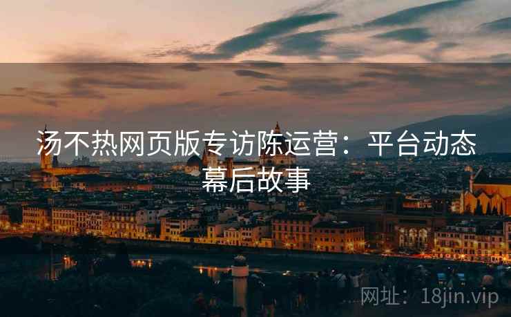 汤不热网页版专访陈运营：平台动态幕后故事